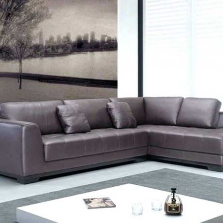 Modern Leather L Shaped Couch Sofa in Delhi